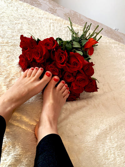 Claryce Xo - Escort Girl from Clarksville Tennessee