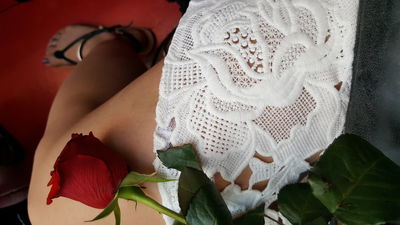 Isabela Swan - Escort Girl from Carrollton Texas