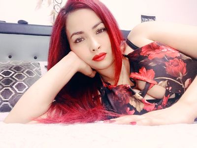 What's New Escort in Aurora Colorado