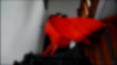 Akira Wright - Escort Girl from McKinney Texas