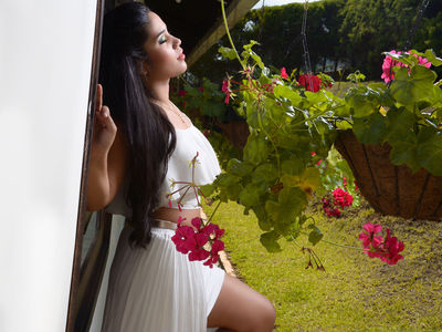 What's New Escort in New Haven Connecticut