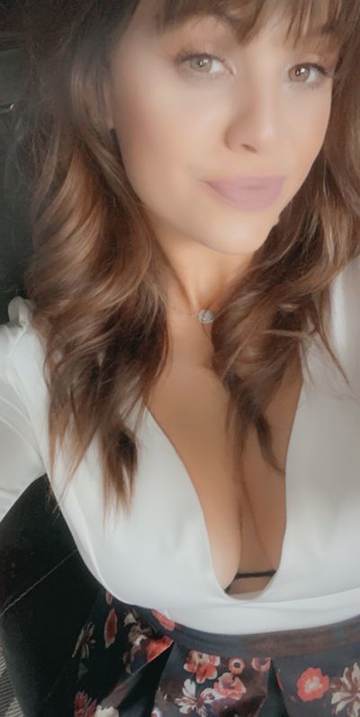 What's New Escort in Vallejo California