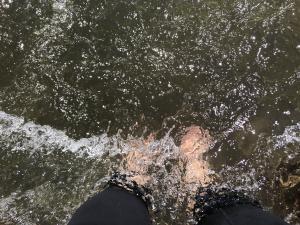 Stephanie Larson - Baby Buffalo, USA