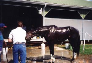 Ernest Drake - Daddy , Gay Sugar Daddy