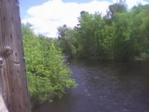 James Price - Daddy Jacksonville, USA