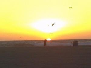 John Sanchez - Daddy York, United Kingdom