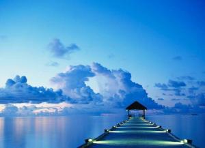 Peter Dupree - Daddy Mississauga, Canada