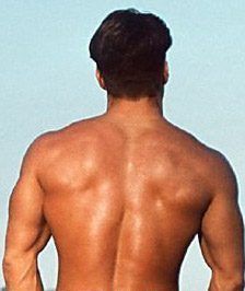 Steve Norwood - Daddy Springfild, USA